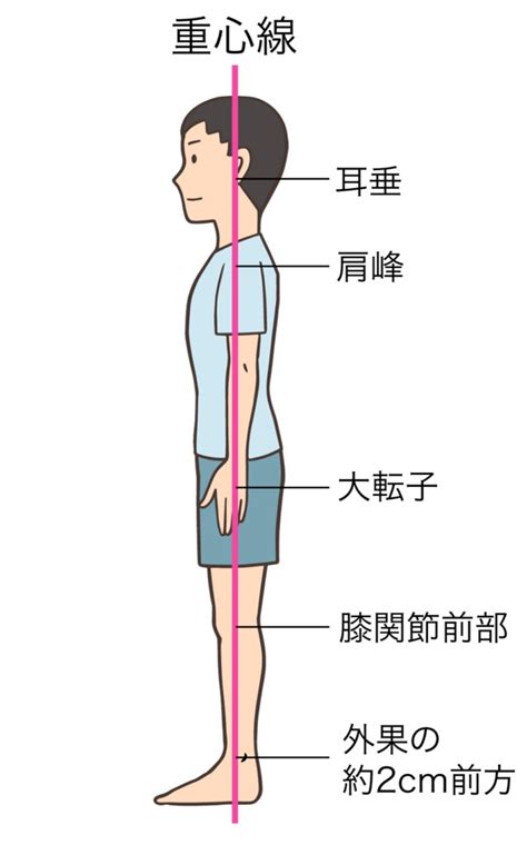 頭 位置|正しい頭の位置は？頭頂を意識すれば正しい姿勢に変。